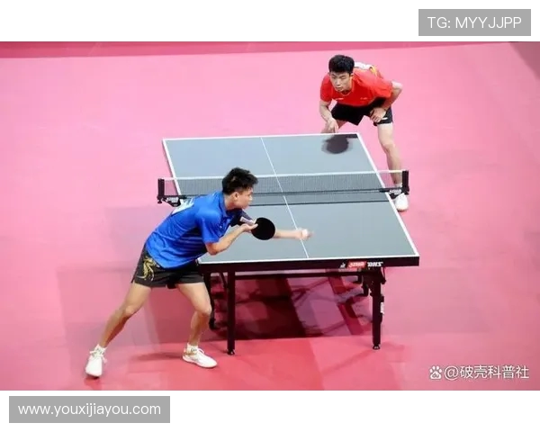 乒乓球的魅力与精神：深入探讨成都乒乓球队的训练与文化