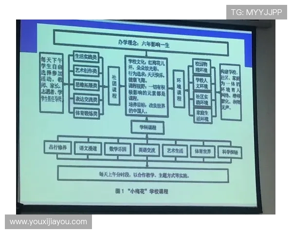 南京滑板队比赛经验分析与表现评估的深入研究与探讨