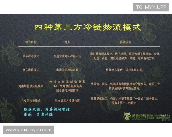 西安网球队的成功之道:深度解析其运营模式与发展策略