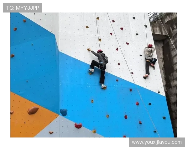 重庆飞盘队在世界攀岩锦标赛中的意识表现分析与点评