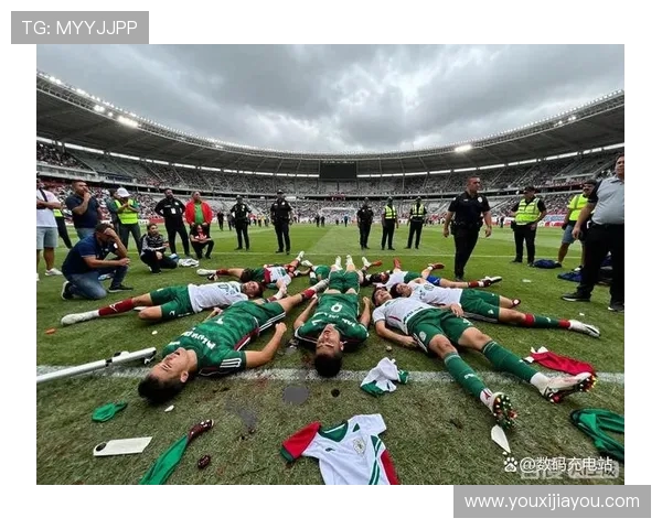 墨西哥与荷兰世界杯对决回顾精彩瞬间与历史交锋分析